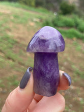 Load image into Gallery viewer, Amethyst Mushroom*