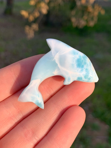 Larimar Dolphin #21*