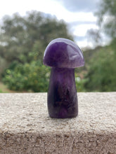 Load image into Gallery viewer, Amethyst Mushroom*