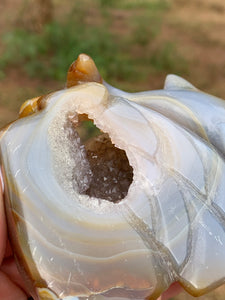 Agate with Carnelian Dolphin