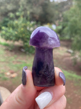 Load image into Gallery viewer, Amethyst Mushroom*