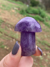 Load image into Gallery viewer, Amethyst Mushroom*