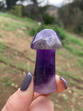 Load image into Gallery viewer, Amethyst Mushroom*