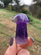 Load image into Gallery viewer, Amethyst Mushroom*