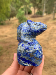 Lapis Rat