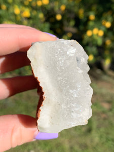 Apophyllite Standing Cluster*