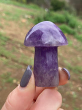 Load image into Gallery viewer, Amethyst Mushroom*