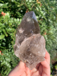 Rutile Smokey Cluster*