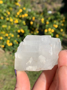 Apophyllite Cubed Standing Cluster*